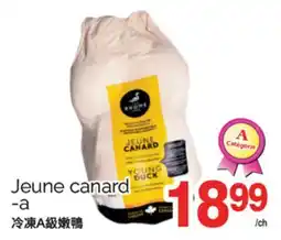 T&T Supermarket JEUNE CANARD-A offer