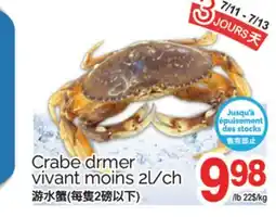 T&T Supermarket Crabe drmer vivant moins offer