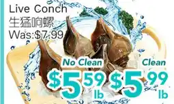 Ample Food Market Live Conch offer