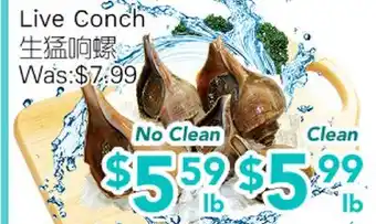 Ample Food Market Live Conch offer