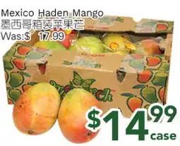 Ample Food Market Mexico Haden Mango offer