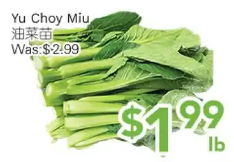 Ample Food Market Yu Choy Miu offer