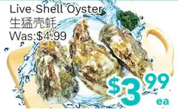 Ample Food Market Live Shell Oyster offer