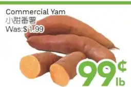 Ample Food Market Commercial Yam offer
