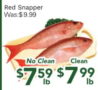 Ample Food Market Red Snapper offer