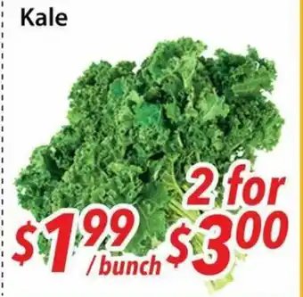 Bestco Food Mart Kale offer