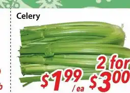 Bestco Food Mart Celery offer