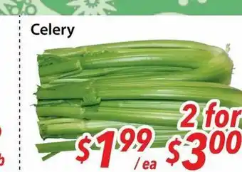 Bestco Food Mart Celery offer
