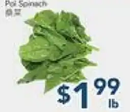Oceans Fresh Food Market Pot Spinach offer