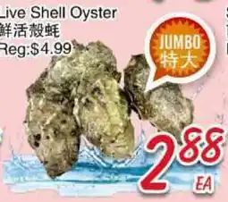 Foody Mart Live Shell Oyster offer
