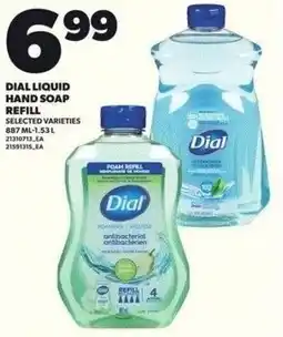 Independent Grocer Dial liquid hand soap refill offer