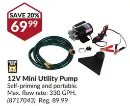 Princess Auto 12V Mini Utility Pump offer