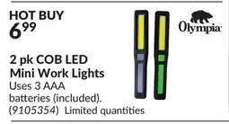 Princess Auto 2 pk COB LED Mini Work Lights offer