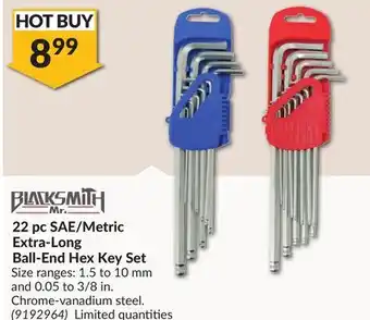 Princess Auto 22 pc SAE/Metric Extra-Long Ball-End Hex Key Set offer