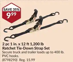 Princess Auto 2 pc 1 in. x 12 ft1,200 lb Ratchet Tie-Down Strap Set offer