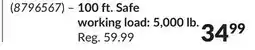 Princess Auto Power Fist 1/4 in. Winch Cables with Hook, 100 ft. Safe working load: 5,000 lb offer