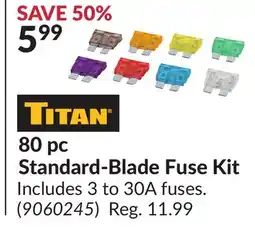 Princess Auto 80 pc Standard-Blade Fuse Kit offer