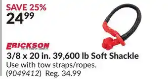Princess Auto 3/8 x 20 in. 39,600 lb SoftShackle offer