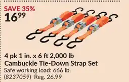 Princess Auto 4 pk 1 in. x 6 ft2,000 lb Cambuckle Tie-Down Strap Set offer