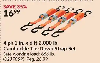 Princess Auto 4 pk 1 in. x 6 ft2,000 lb Cambuckle Tie-Down Strap Set offer