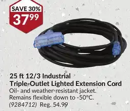 Princess Auto 25 ft12/3 Industrial Triple-Outlet Lighted Extension Cord offer