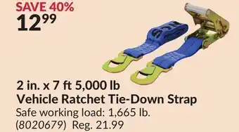 Princess Auto 2 in. x 7 ft5,000 lb Vehicle Ratchet Tie-Down Strap offer