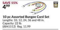 Princess Auto 10 pc Assorted Bungee Cord Set offer