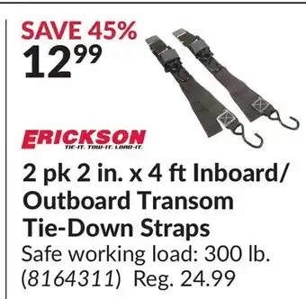 Princess Auto 2 pk 2 in. x 4 ftInboard/ Outboard Transom Tie-Down Straps offer