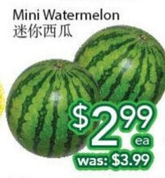 Ample Food Market Mini watermelon offer