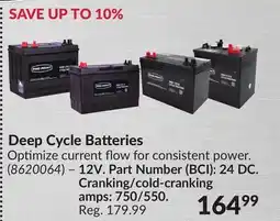 Princess Auto Deep Cycle Batteries offer