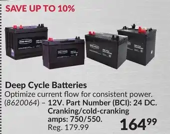 Princess Auto Deep Cycle Batteries offer