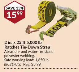 Princess Auto 2 in. x 25 ft5,000 lb Ratchet Tie-Down Strap offer