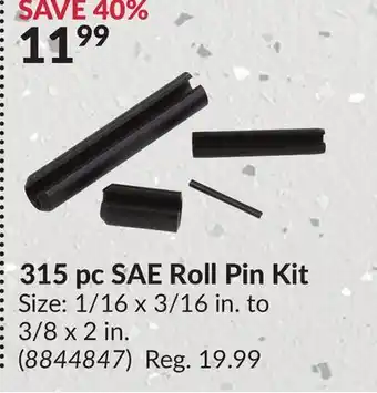 Princess Auto 315 pc SAE Roll Pin Kit offer