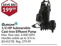Princess Auto 1/2 HP Submersible Cast-Iron Effluent Pump offer