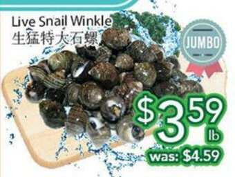 Ample Food Market Live snail winkle offer