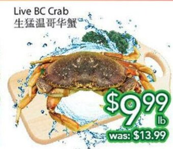 Ample Food Market Live BC crab offer