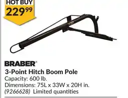 Princess Auto 3-Point Hitch Boom Pole offer