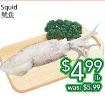 Ample Food Market Squid offer