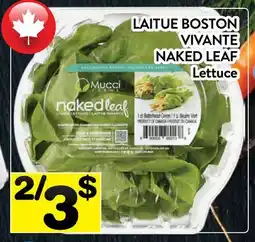 Supermarché PA LAITUE BOSTON VIVANTE NAKED LEAF offer