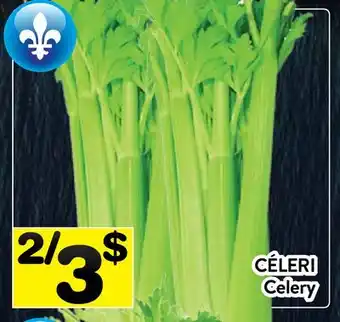 Supermarché PA CÉLERI | Celery offer