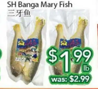 Ample Food Market SH banga mary fish offer