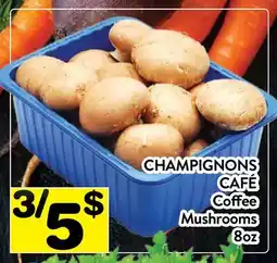 Supermarché PA CHAMPIGNONS CAFÉ | Coffee Mushrooms offer
