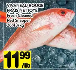 Supermarché PA VIVANEAU ROUGE FRAIS NETTOYÉ | FRESH CLEANED RED SNAPPER offer