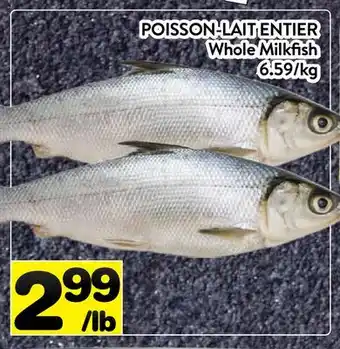 Supermarché PA POISSON-LAIT ENTIER | Whole Milkfish offer