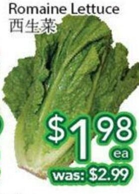 Ample Food Market Romaine lettuce offer