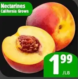 The Old Farm Market Nectarines california grown offer