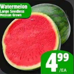 The Old Farm Market Watermelon large seedless mexican grown offer