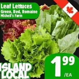 The Old Farm Market Leaf lettuces green, red, romaine michell's farm offer