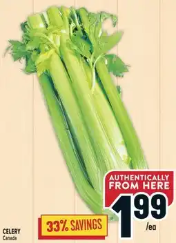 Marché Adonis CELERY offer