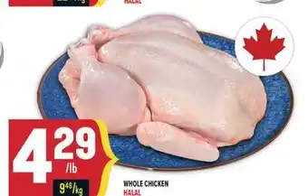 Marché Adonis WHOLE CHICKEN HALAL offer